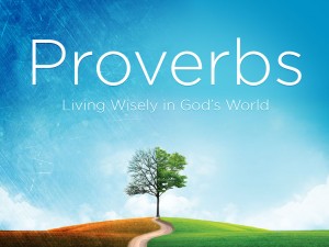 Proverbs Series